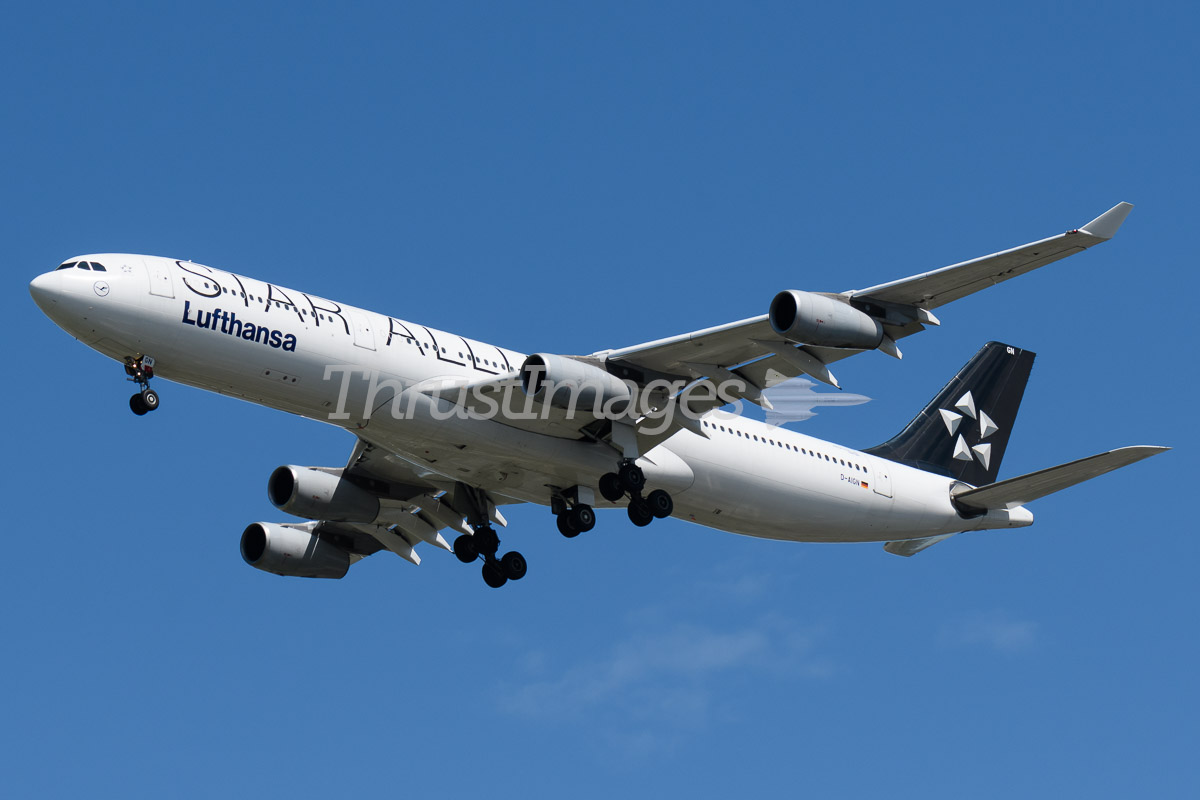 D-AIGN Lufthansa Star Alliance Airbus A340